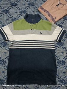 Flick Striped Polo T Shirt (💚 🤍 💙)