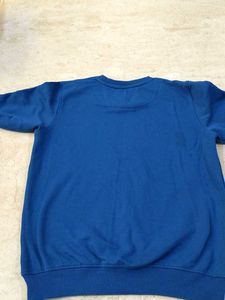 Cute Bear Graphic Sweatshirt