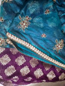 Pearl Party Wear Saree And Blouse