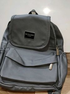 "DA MILANO Signature Grey Carrier"