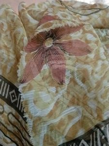 Without Blause Saree