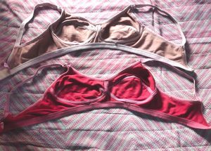 Pooja Ragenee Bras Pack Of 2