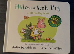 Hide And Seek Lift Flap Book
