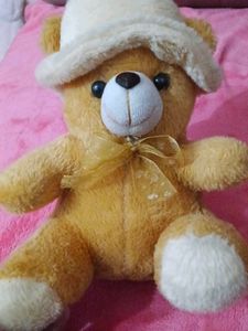 Cute Teddy Bear with Hat