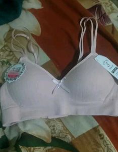 Light Pink Bra