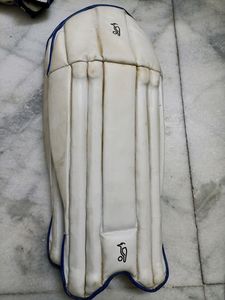 Wicket keeping Pads
