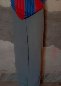 Olive Casual Jeans (Women&#39;s)