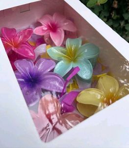 6 Colorful Flower Hair Clature 🌸