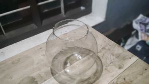 Fish Aquarium Bowl