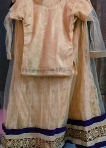 Elegant Lehenga Choli Purple And Cream Colour...