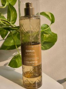 Dahlia | 10ml Decant