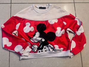 Zara Top