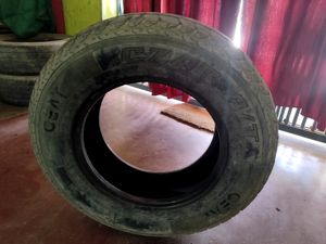 Tyres Safari Strome