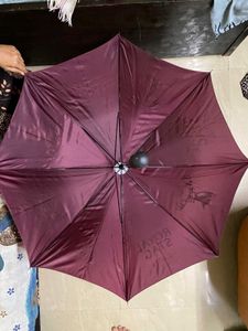 Stylish Maroon Umbrella
