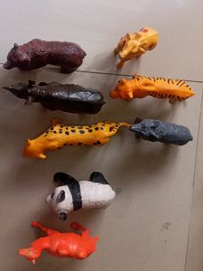 Animals