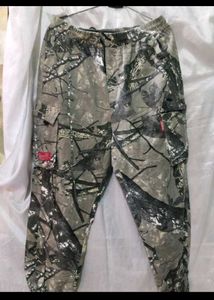 Cargos Pants