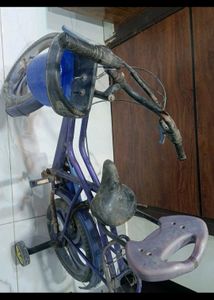 Cycle