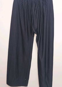 Pleated Palazzo Pants