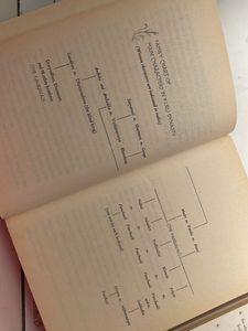 The Palace of Illusions &amp; Forty Rules o