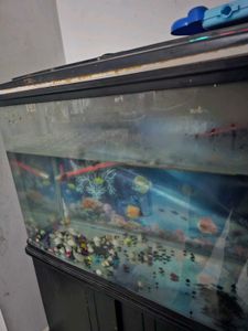 Fish Tank with Cabinet