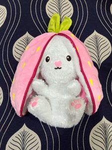 Bunny Plush Toy