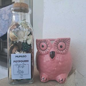 Combo Mumuso Room Breezer/Freshner And Flower Pot