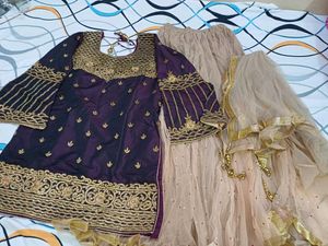 Elegant Embroidered Indian Outfit