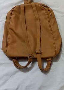 Stylish Brown Backpack