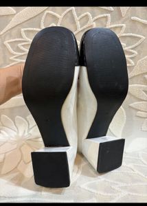 Totally New Miumiu Bellies