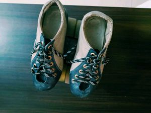 Shoes Skate