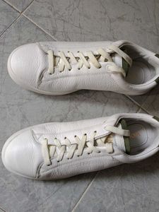 Sneaker for Men