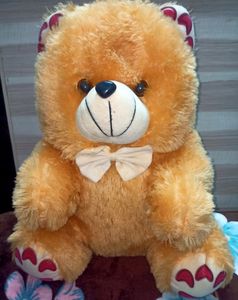 Cute Teddy Bear