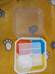 Serving Box/Tray