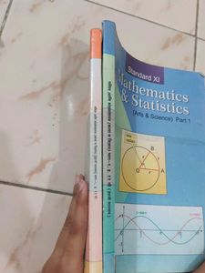 Mathematics &amp; Statistics XI