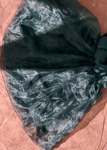 Organza Short Frock
