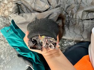 Cool Black Jacket