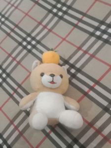Teddy 🧸🐻