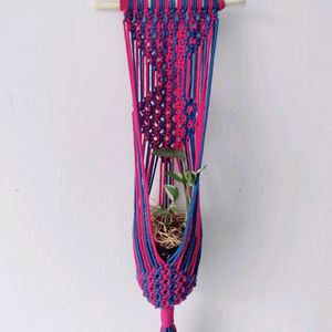 Macrame Plant Hanging