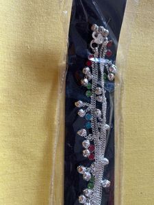 Payal Multi Colour