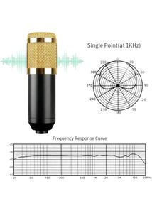 Condenser MIC Full Kit for Youtube And Vlogging