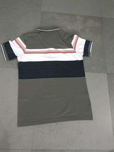 Stylish Olive Polo Shirt