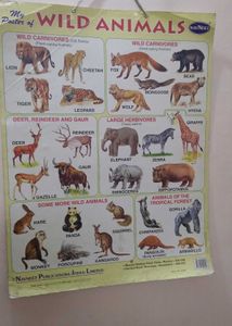 8 Big Kindergarten Charts