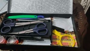 Camlin Scholar Dissection Set