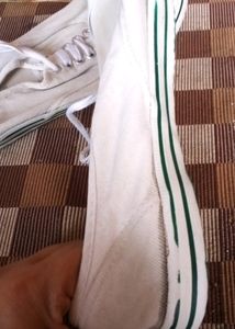 Canvas Shoes