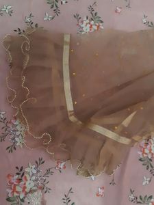 Organza And Net Dupatta