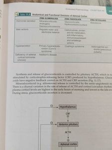 Shanbhag Pharmacology
