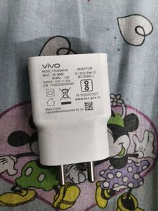 Vivo Charger