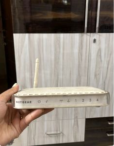 Netgear ethernet switch/router