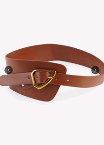 Brown Wide Waist Belt