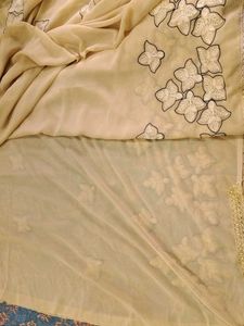 Cream embroidery Saree